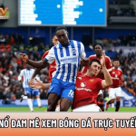 Xemcakhia.net – Bùng nổ đam mê xem bóng đá trực tuyến đỉnh
