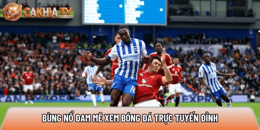 Xemcakhia.net – Bùng nổ đam mê xem bóng đá trực tuyến đỉnh
